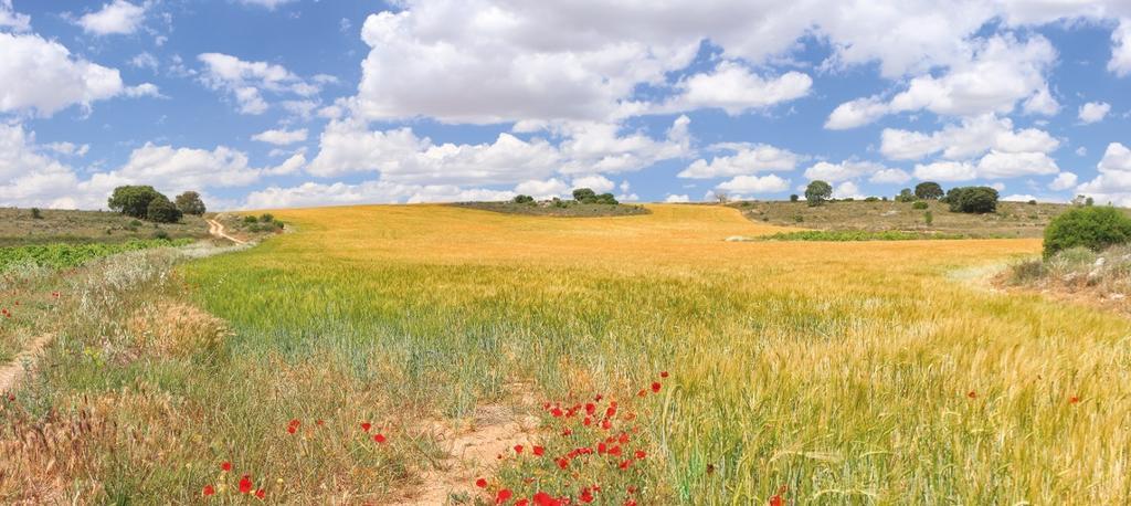 Hotel Rural Plaza Mayor Chinchón מראה חיצוני תמונה